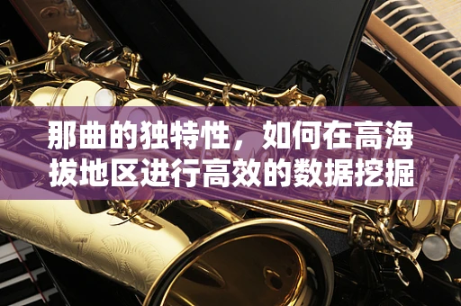 那曲的独特性，如何在高海拔地区进行高效的数据挖掘？