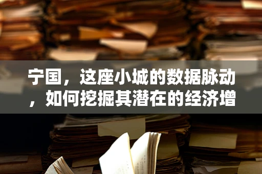 宁国，这座小城的数据脉动，如何挖掘其潜在的经济增长点？