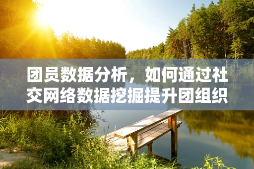 团员数据分析，如何通过社交网络数据挖掘提升团组织凝聚力？