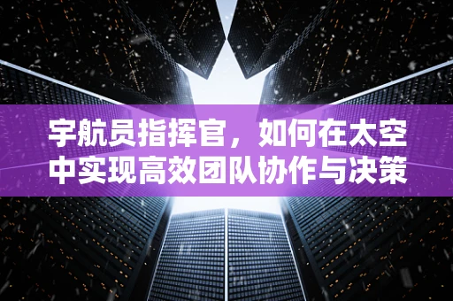 宇航员指挥官，如何在太空中实现高效团队协作与决策？