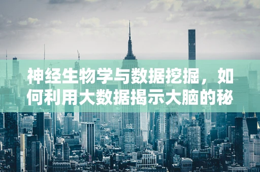 神经生物学与数据挖掘，如何利用大数据揭示大脑的秘密？