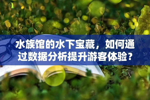 水族馆的水下宝藏，如何通过数据分析提升游客体验？