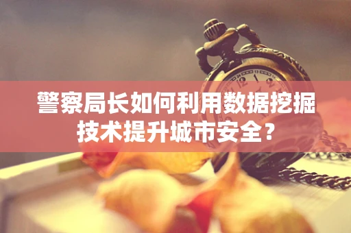 警察局长如何利用数据挖掘技术提升城市安全？