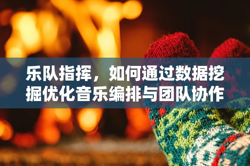 乐队指挥，如何通过数据挖掘优化音乐编排与团队协作？