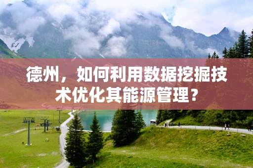德州，如何利用数据挖掘技术优化其能源管理？
