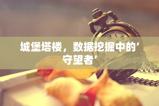 城堡塔楼，数据挖掘中的‘守望者’
