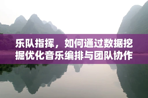 乐队指挥，如何通过数据挖掘优化音乐编排与团队协作？