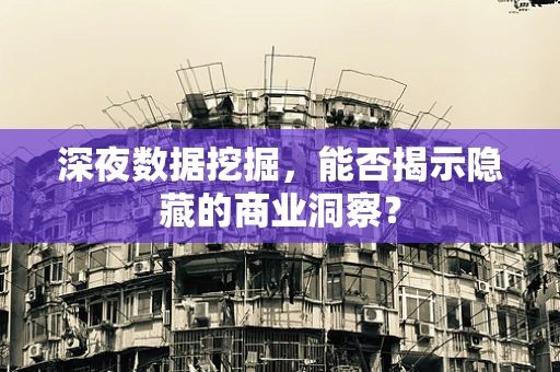 深夜数据挖掘，能否揭示隐藏的商业洞察？