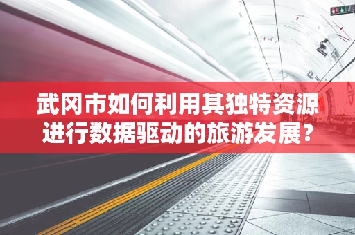 武冈市如何利用其独特资源进行数据驱动的旅游发展？