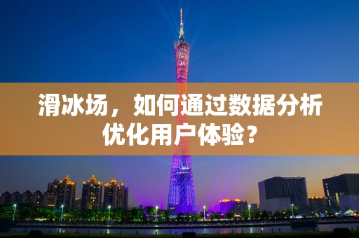 滑冰场，如何通过数据分析优化用户体验？