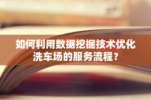 如何利用数据挖掘技术优化洗车场的服务流程？