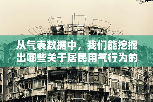 从气表数据中，我们能挖掘出哪些关于居民用气行为的秘密？