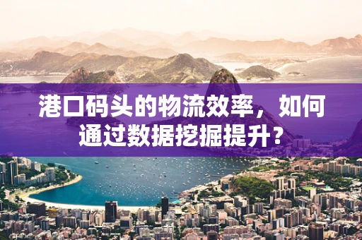 港口码头的物流效率，如何通过数据挖掘提升？