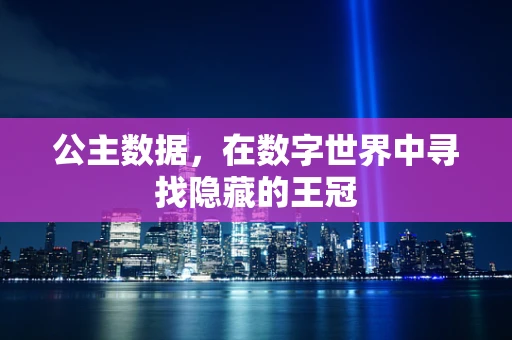 公主数据，在数字世界中寻找隐藏的王冠