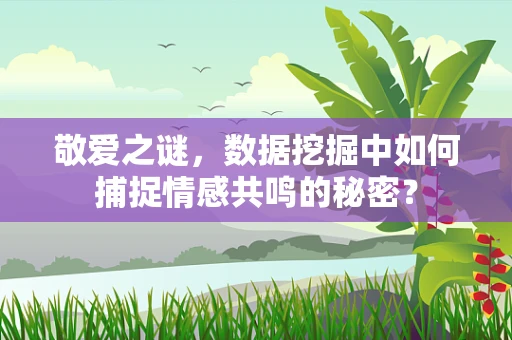 敬爱之谜，数据挖掘中如何捕捉情感共鸣的秘密？