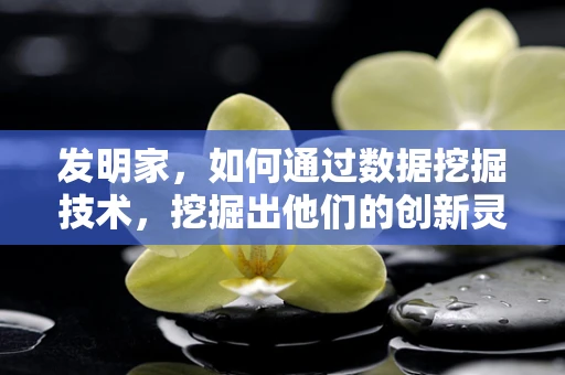 发明家，如何通过数据挖掘技术，挖掘出他们的创新灵感？