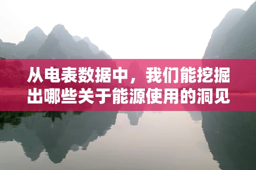 从电表数据中，我们能挖掘出哪些关于能源使用的洞见？