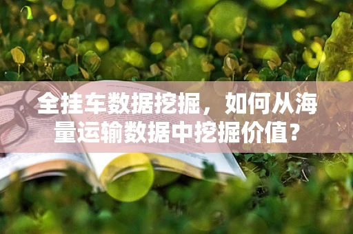 全挂车数据挖掘，如何从海量运输数据中挖掘价值？
