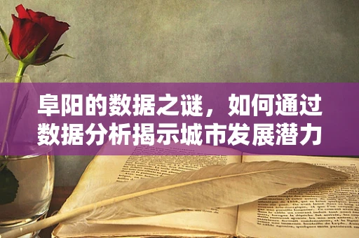 阜阳的数据之谜，如何通过数据分析揭示城市发展潜力？