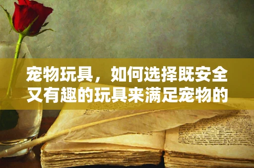 宠物玩具，如何选择既安全又有趣的玩具来满足宠物的需求？