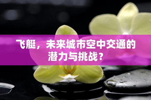 飞艇，未来城市空中交通的潜力与挑战？