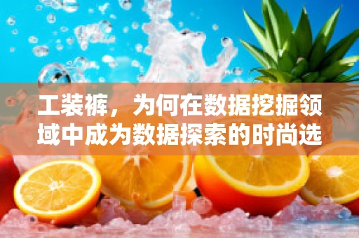 工装裤，为何在数据挖掘领域中成为数据探索的时尚选择？