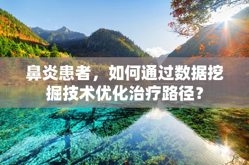 鼻炎患者，如何通过数据挖掘技术优化治疗路径？
