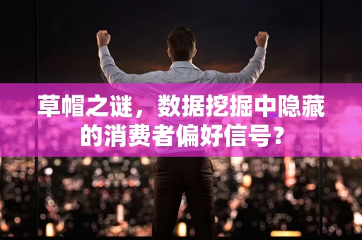 草帽之谜，数据挖掘中隐藏的消费者偏好信号？