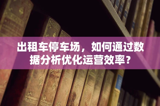 出租车停车场，如何通过数据分析优化运营效率？