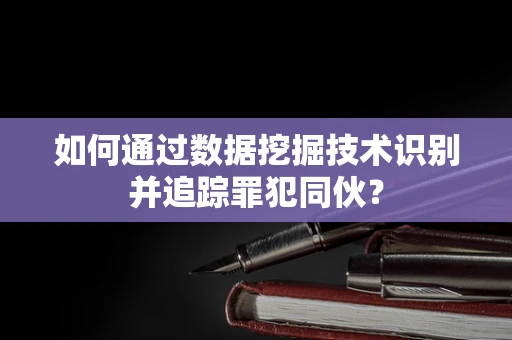 如何通过数据挖掘技术识别并追踪罪犯同伙？