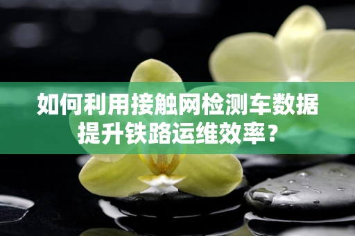 如何利用接触网检测车数据提升铁路运维效率？