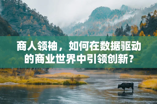 商人领袖，如何在数据驱动的商业世界中引领创新？