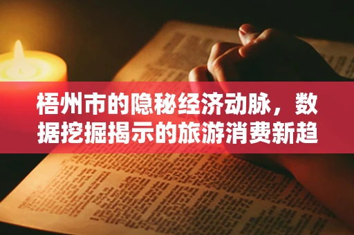 梧州市的隐秘经济动脉，数据挖掘揭示的旅游消费新趋势