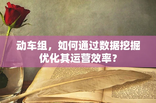 动车组，如何通过数据挖掘优化其运营效率？