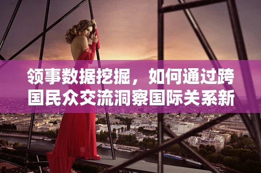 领事数据挖掘，如何通过跨国民众交流洞察国际关系新动向？
