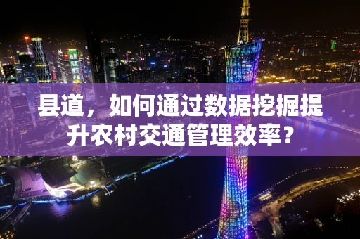 县道，如何通过数据挖掘提升农村交通管理效率？