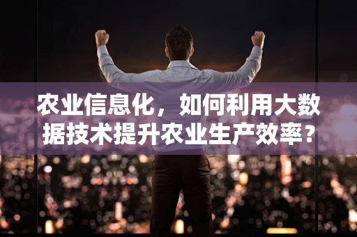 农业信息化，如何利用大数据技术提升农业生产效率？