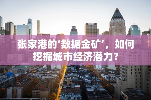 张家港的‘数据金矿’，如何挖掘城市经济潜力？