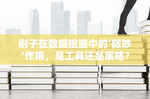 刷子在数据挖掘中的‘微妙’作用，是工具还是策略？