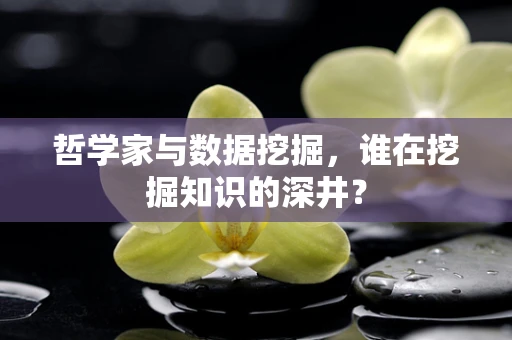 哲学家与数据挖掘，谁在挖掘知识的深井？