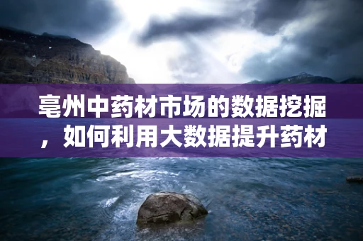 亳州中药材市场的数据挖掘，如何利用大数据提升药材质量与市场效率？