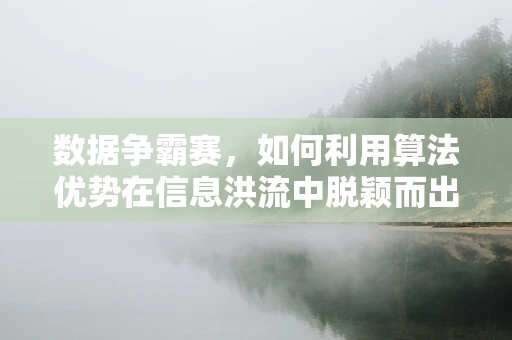 数据争霸赛，如何利用算法优势在信息洪流中脱颖而出？