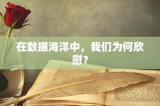 在数据海洋中，我们为何欣慰？
