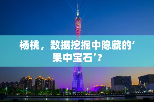 杨桃，数据挖掘中隐藏的‘果中宝石’？