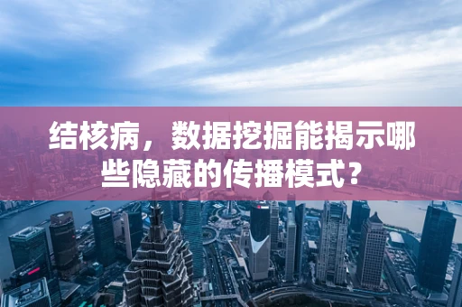 结核病，数据挖掘能揭示哪些隐藏的传播模式？