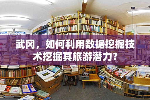 武冈，如何利用数据挖掘技术挖掘其旅游潜力？