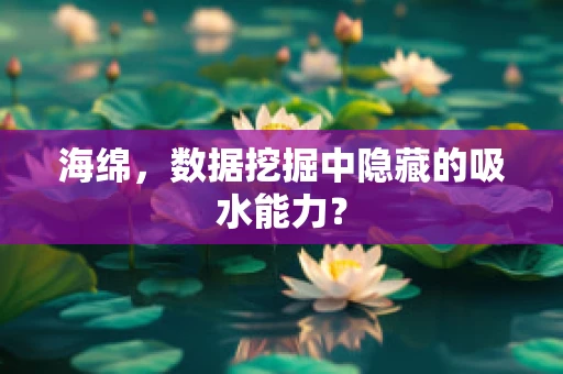 海绵，数据挖掘中隐藏的吸水能力？