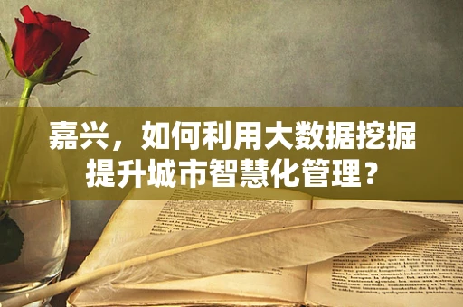 嘉兴，如何利用大数据挖掘提升城市智慧化管理？