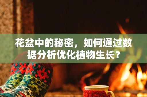 花盆中的秘密，如何通过数据分析优化植物生长？