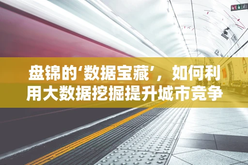 盘锦的‘数据宝藏’，如何利用大数据挖掘提升城市竞争力？